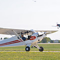 Cub and More
