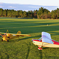Aeroncas
