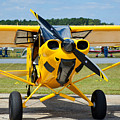 Carbon Cub SS